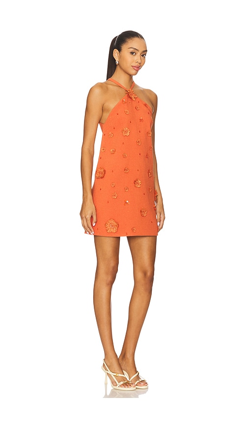 Alexis Milaa Dress In Orange