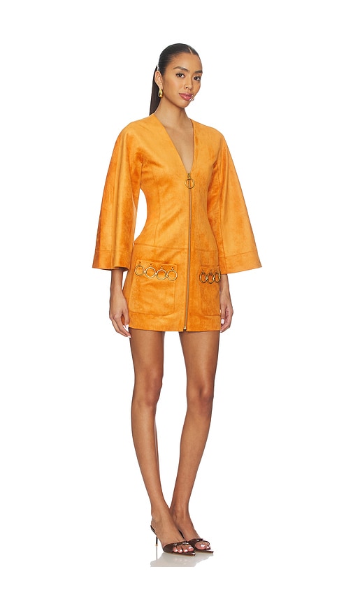 Alexis Anesa Dress In Orange