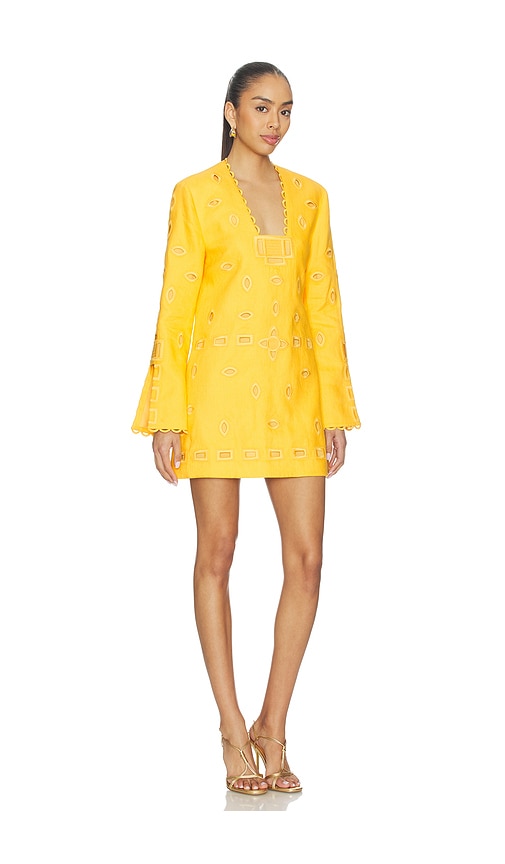 Alexis Eulia Mini Dress In Yellow In Multi