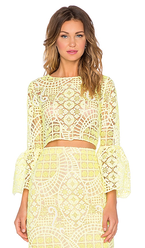 Vito Ruffle Sleeve Lace Crop Top
