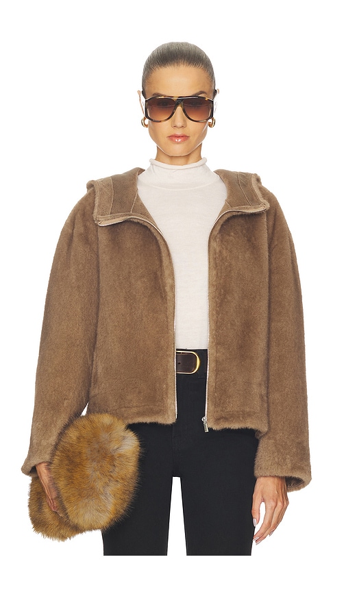 PandyCoat