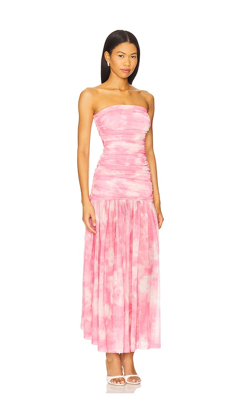 Bardot Solana Blurred Floral Drop Waist Mesh Maxi Dress In Pink