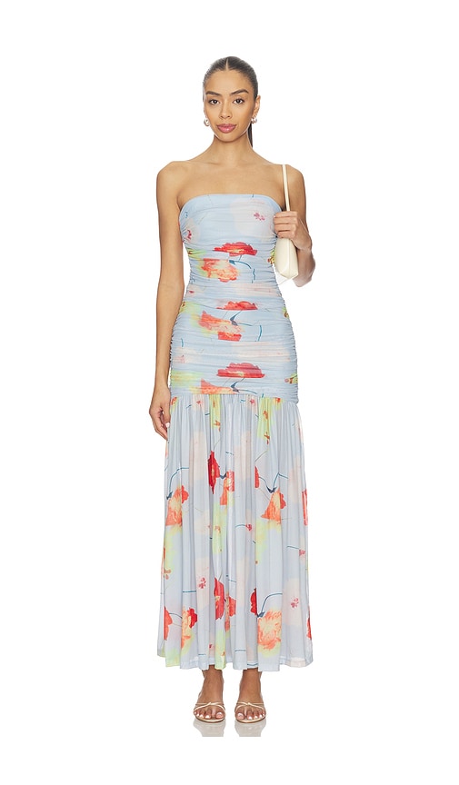 Solana Printed Mesh Maxi Dress