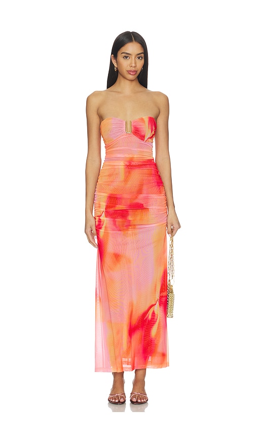 Stephanie Printed Mesh Dress
