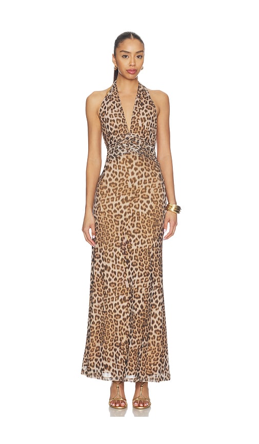 Elera Printed Mesh Maxi Dress