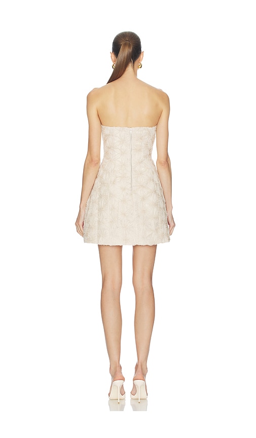  Bardot Kleid Karoline In Nude. Größe 2. Also In 4, 6, 10, 12. 
