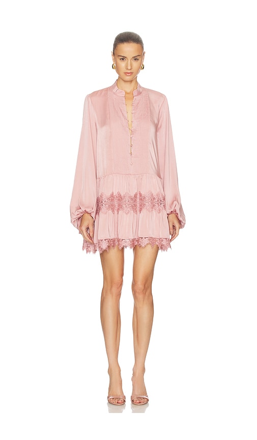 Antonia Lace Trim Mini Dress