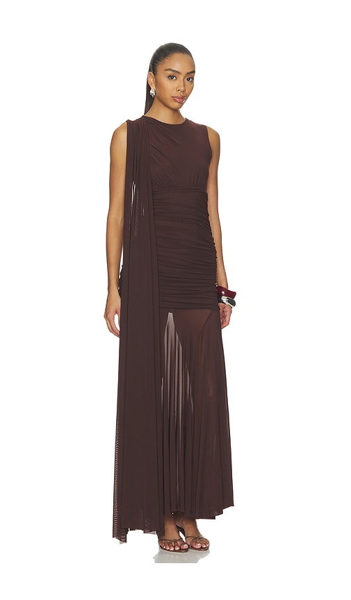 Alverie Mesh Maxi Dress