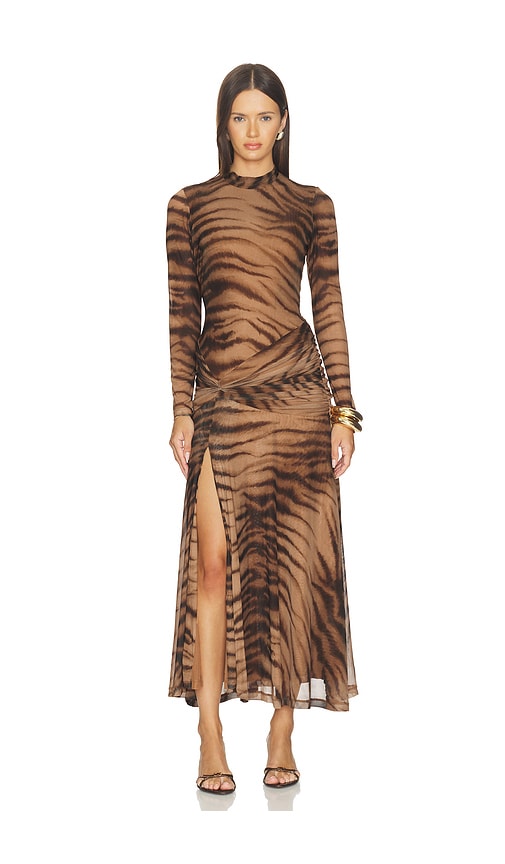 Lea Printed Mesh Dress: Mean Girls Meets Safari Glam