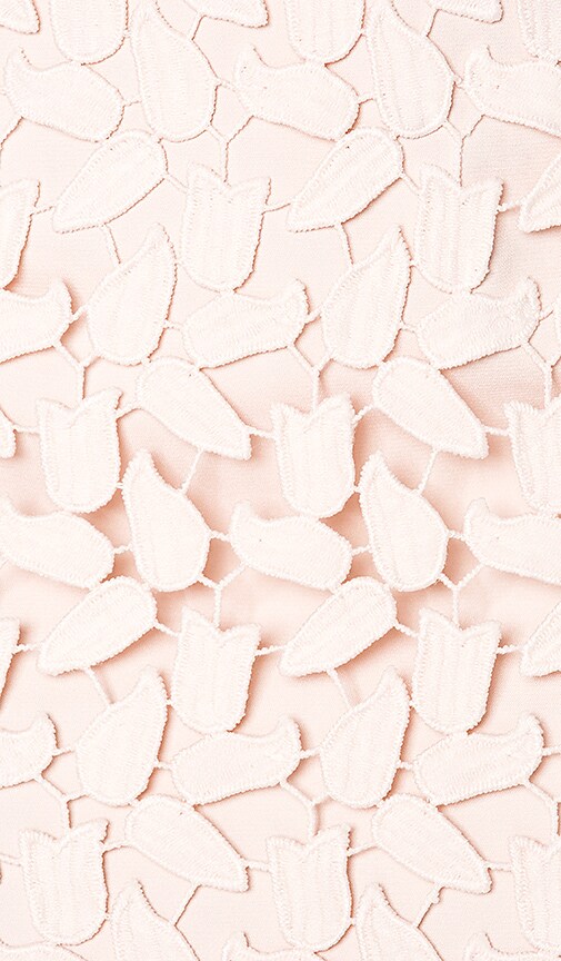 Bardot Gemma Dress in Prosecco | REVOLVE