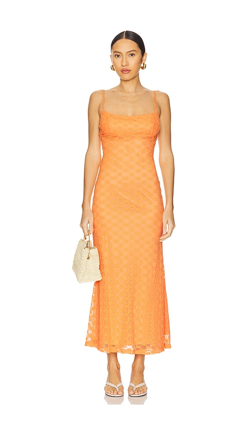 Adoni Mesh Midi Dress in Orange. - size 6 (also in 10, 12, 2, 4, 8)