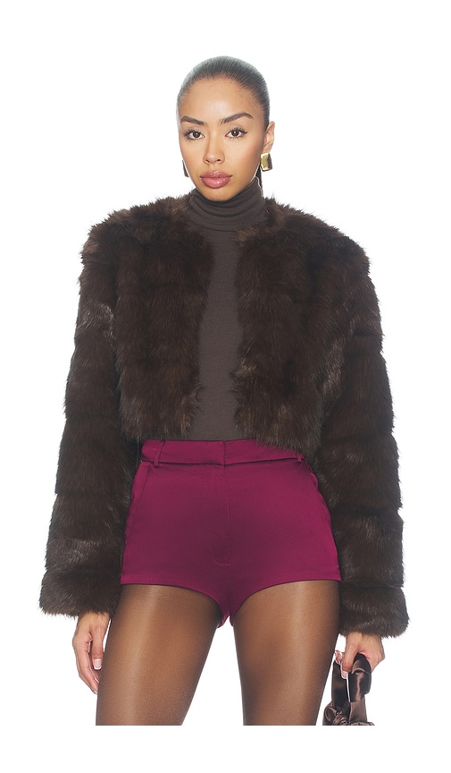 Petro Cropped Faux Fur Jacket by bardot in Dark Chocolate
