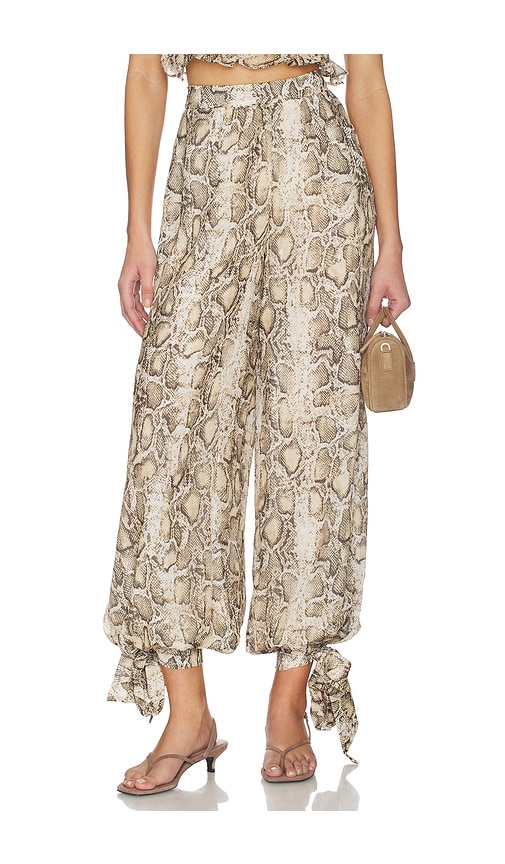 Alira Printed Balloon Pant