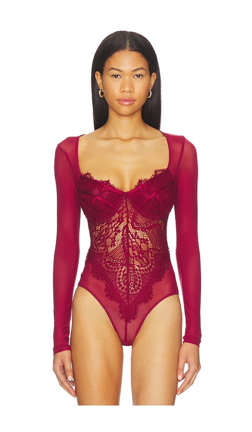 Bardot Farrah Lace Mesh Bodysuit In Brown