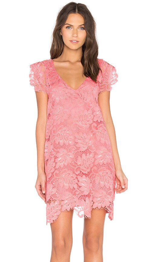 bb dakota jacqueline lace shift dress