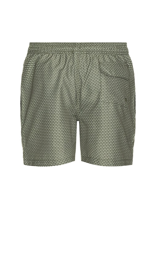 Barbour Shell Swim Short In Green