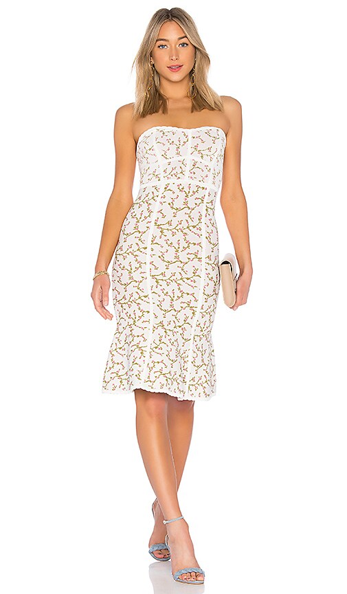 bcbg jacquard dress