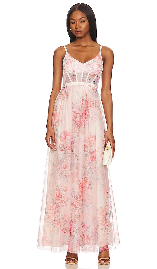 Bcbgmaxazria Women's Floral Tulle Sleeveless Gown In Apricot Blush