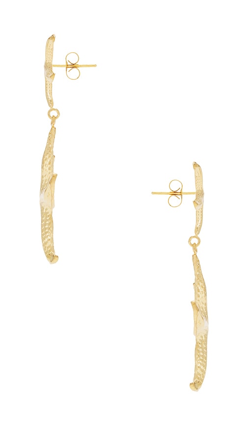 Shop Bracha Starfish Earrings In Metallic Gold