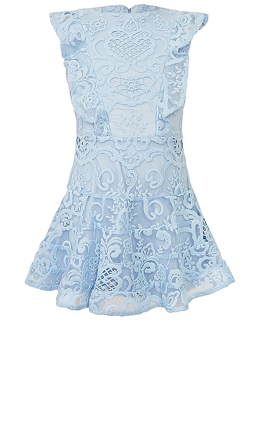 Bardot sapphire lace midi dress best sale