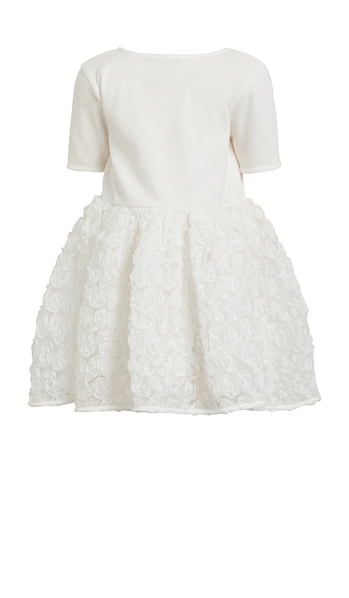 BARDOT JUNIOR ANDI  ROSETTE  裙子