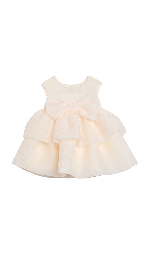 Bardot Junior Vivian Organza Mini Dress