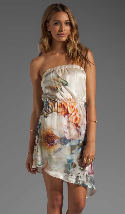Sweet Surrender Dress