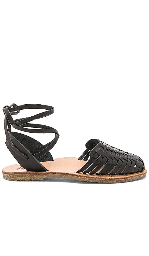 The Parakeet Sandal