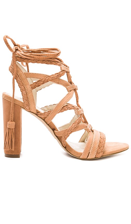 Ronny Heel