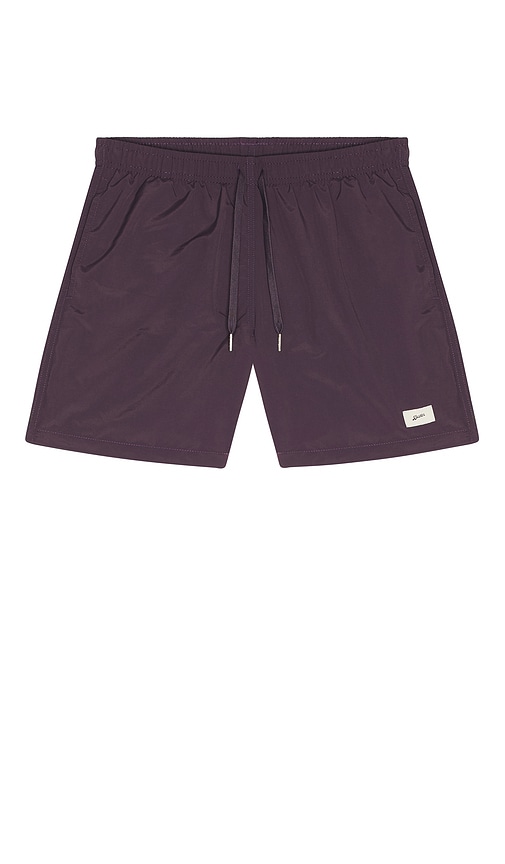  Bather Badehose In Purple. Größe S. Also In Xl/1x. 