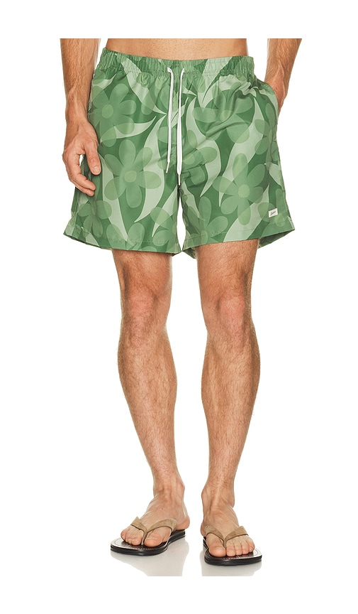 Bather Fern Daisy Trip Swim Trunk In Green