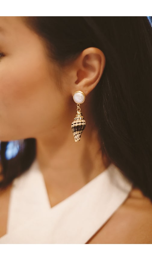 Brinker & Eliza Darya 24k Gold-plated Earrings In Brown