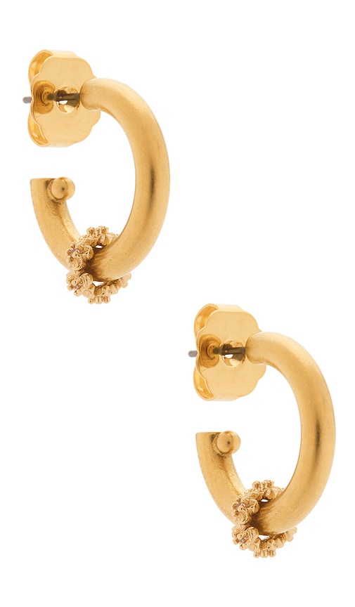 Brinker & Eliza Bay Hoops In Gold