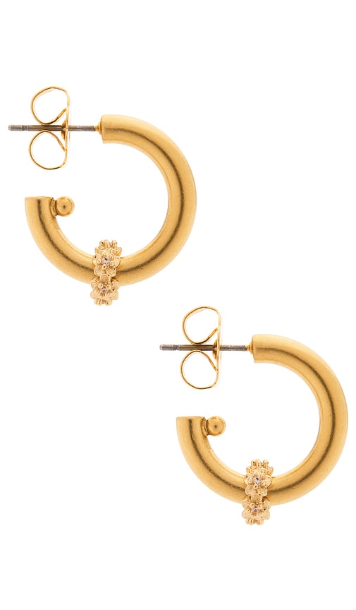 Brinker & Eliza Bay Hoops In Gold