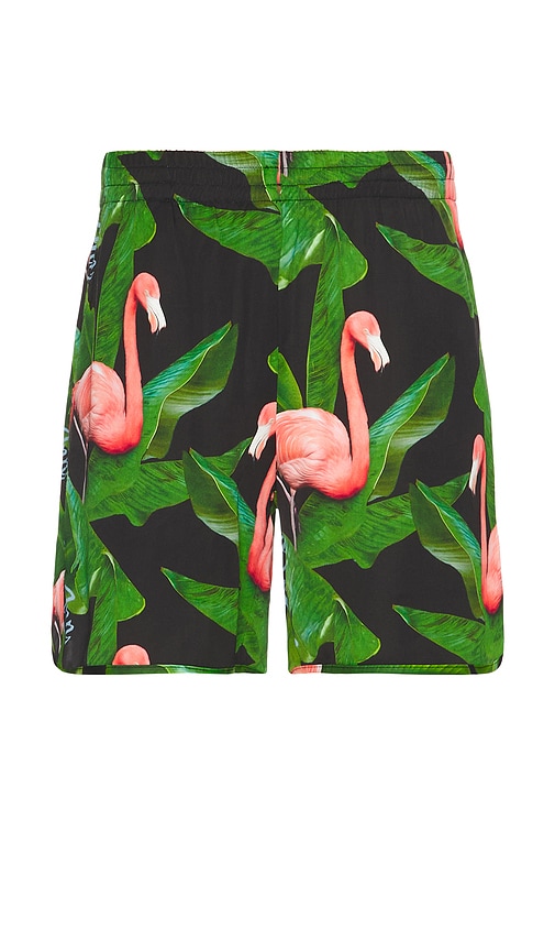 Shop Blue Sky Inn Flamingo Swim Shorts In Green