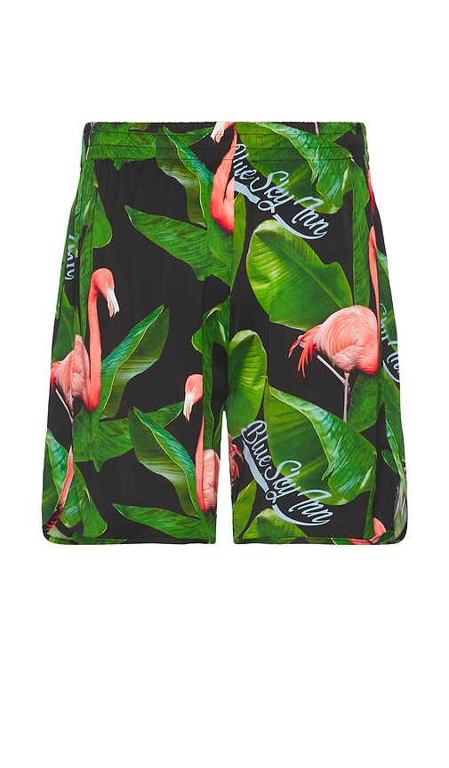 Shop Blue Sky Inn Flamingo Swim Shorts In Green