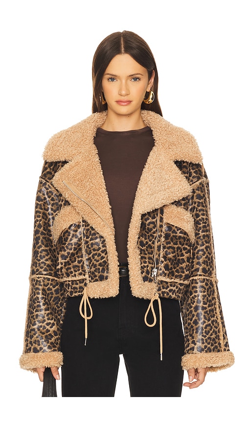 Bonded Moto Jacket in in Brown. - size L (also in M, S, XS) - BLANKNYC - Modalova