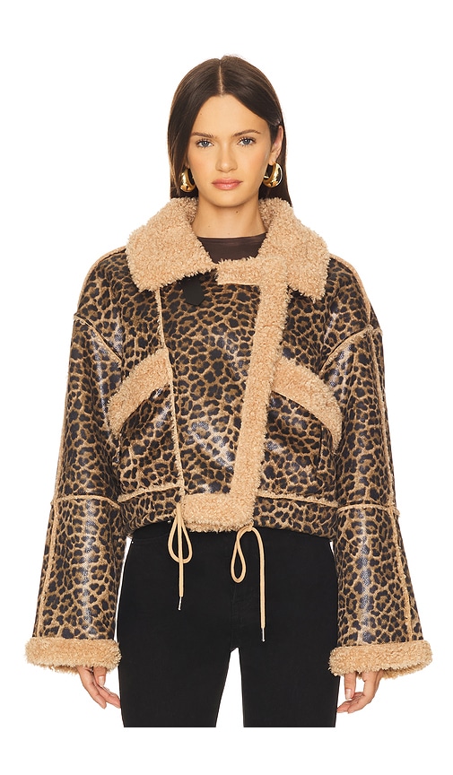 Blanknyc Bonded Leopard Print Faux Shearling Moto Jacket In Brown