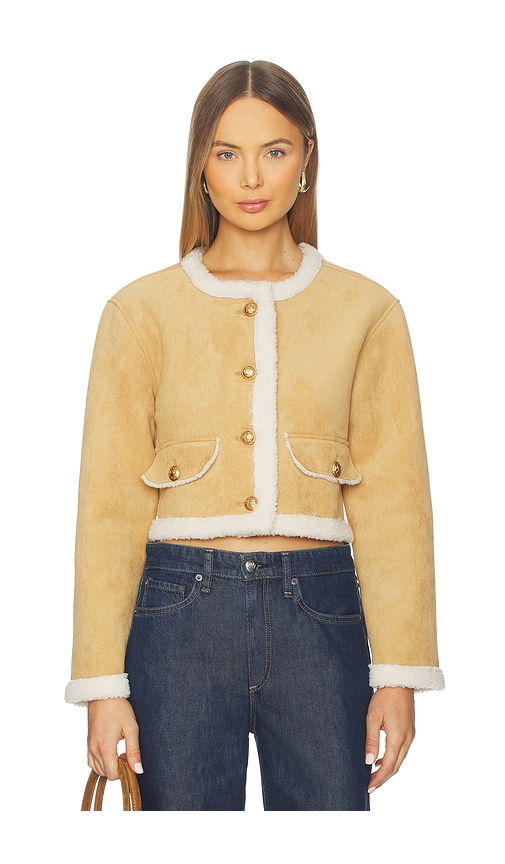 Blanknyc Cropped Jacket In Brown