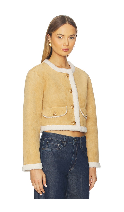 Blanknyc Cropped Jacket In Brown