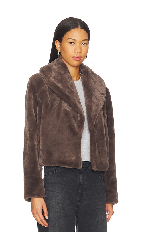 Blanknyc Cropped Faux Fur Coat In Brown