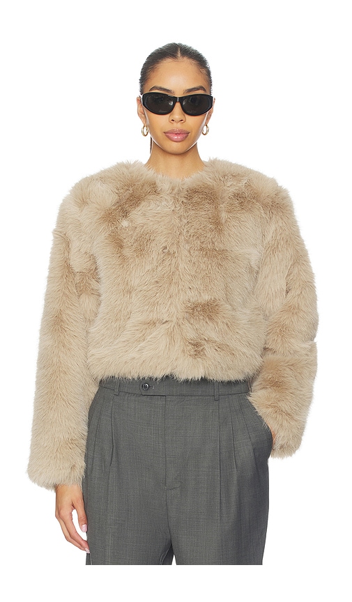 Blanknyc Crop Faux Fur Coat In Neutral