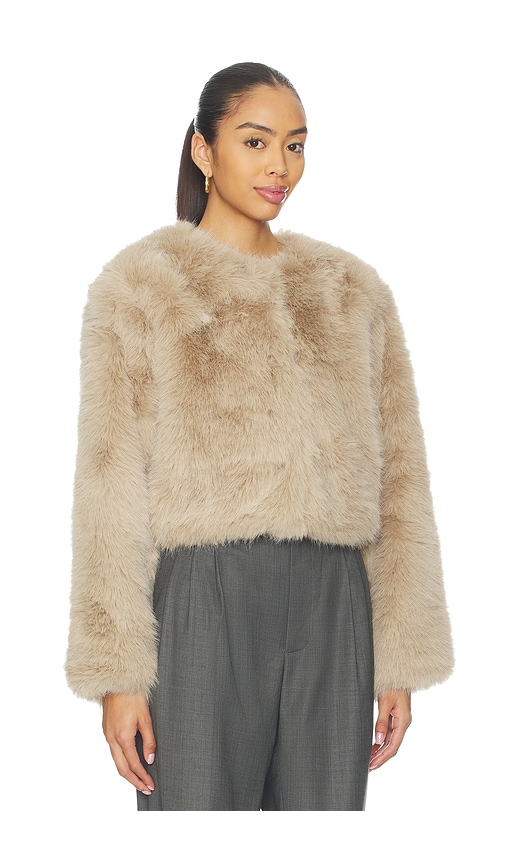 Blanknyc Crop Faux Fur Coat In Neutral