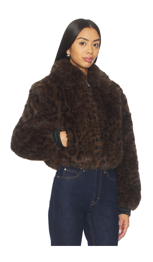 Blanknyc Midnight Run Jacket Dark Brown In Brown