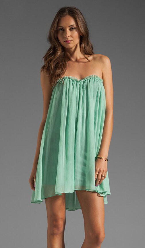 Strapless Mini Dress