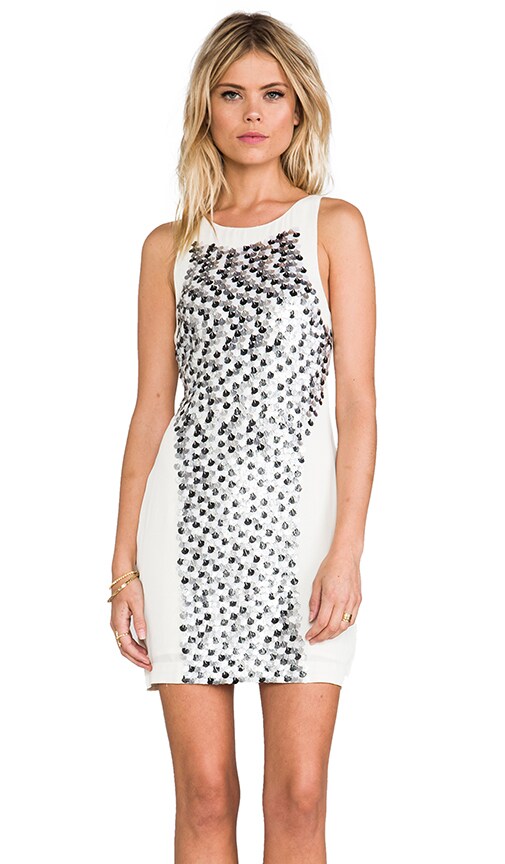 Fleck Dress