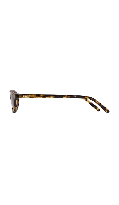  Banbe Sonnenbrille The Rodrigo In Brown. 