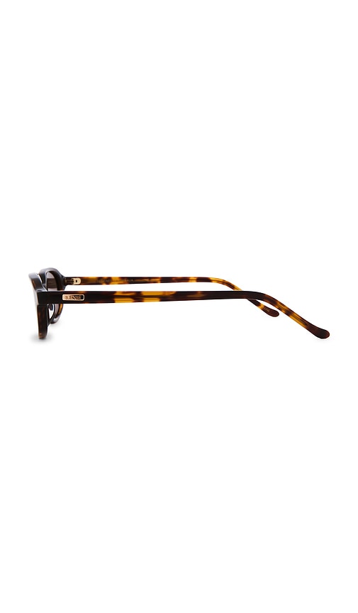  Banbe Sonnenbrille Cassel In Brown. 