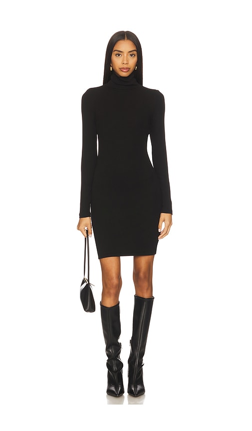 Bobi Turtleneck Mini Dress
