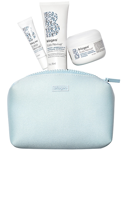 SCALP REVIVAL 헤어 여행 키트